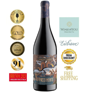 Domini Veneti Marco Polo Appassimento Rosso Veneto IGT Italy Red Wine