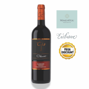 GIO Cabernet Sauvignon IGT Italy Red Wine